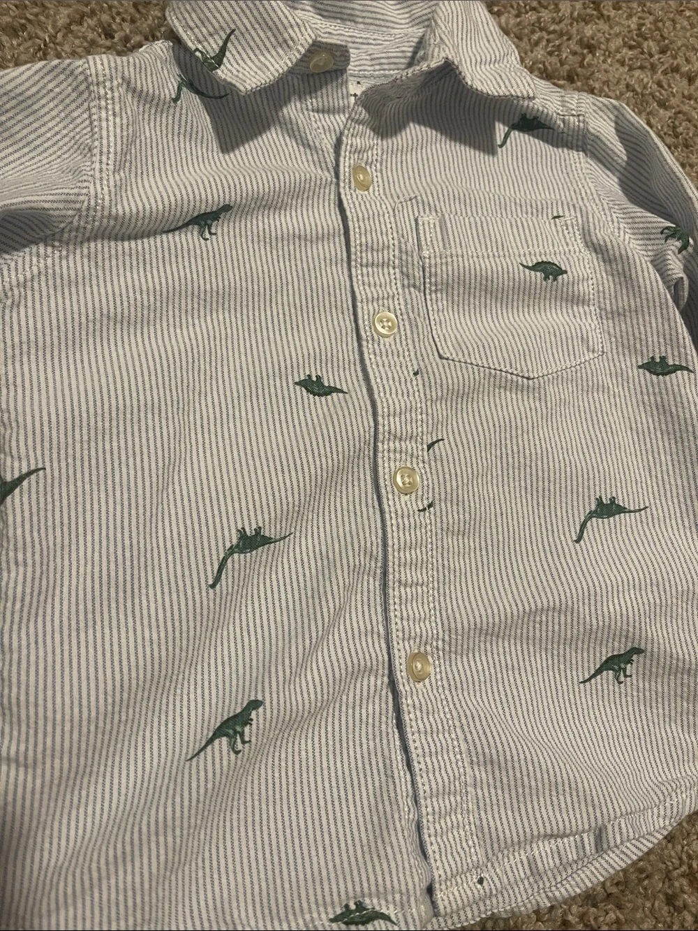 Carter’s dinosaur button down